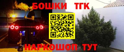 спиды Обь