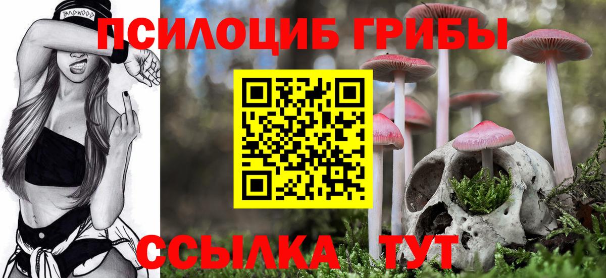 Галлюциногенные грибы Magic Shrooms Старая Купавна