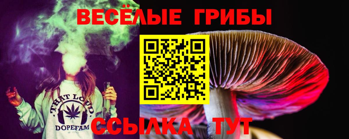 Галлюциногенные грибы Cubensis  Вход с VPN  Старая Купавна 